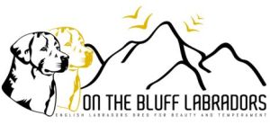 Puppy University Logo